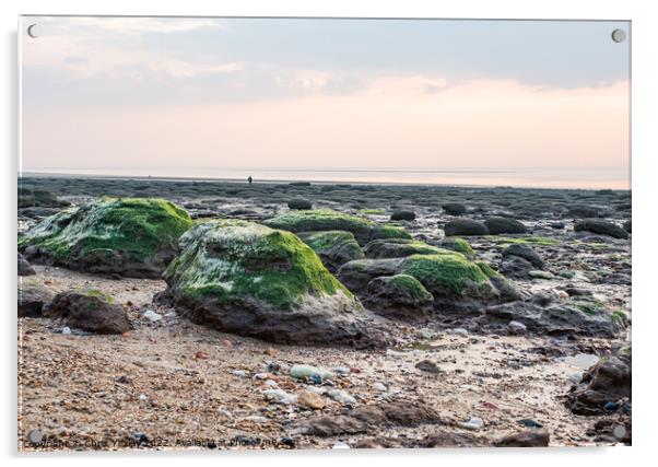 Rocky beach, Hunstanton Acrylic by Chris Yaxley