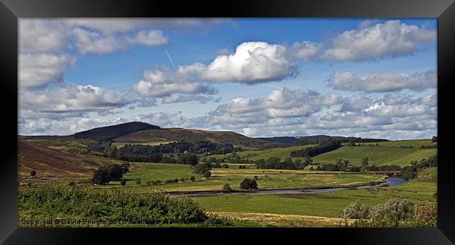 Coquet Valley Framed Print by David Pringle