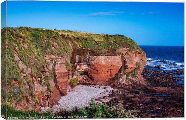 Seaton Cliffs near Arbroath on the east coast of Scotland, UK Canvas Print by Mehul Patel
