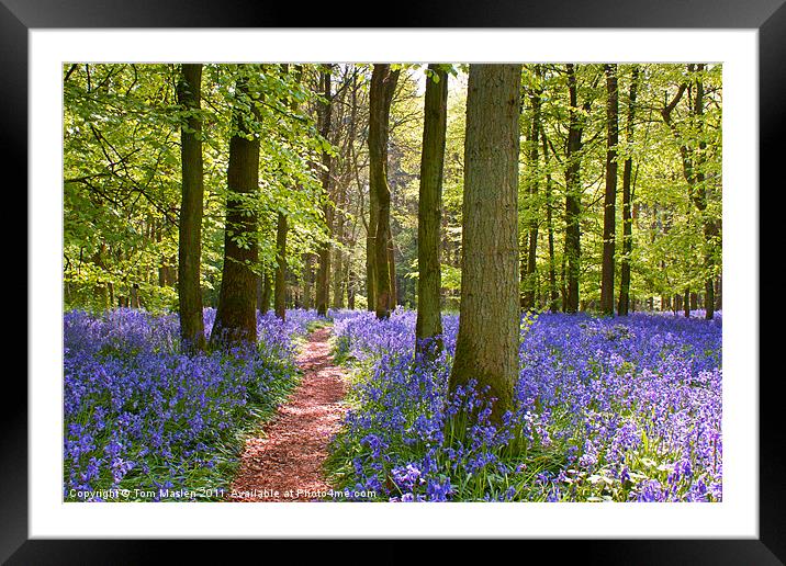Keep Calm, follow the path Framed Mounted Print by Tom Maslen