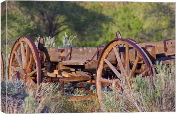 Old Wooden Wagon Canvas Print by Amy Rogers