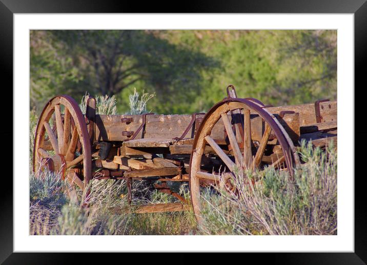 Old Wooden Wagon Framed Mounted Print by Amy Rogers