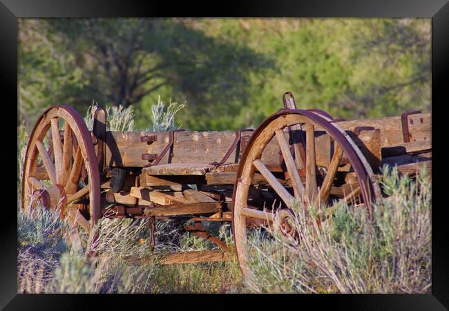 Old Wooden Wagon Framed Print by Amy Rogers