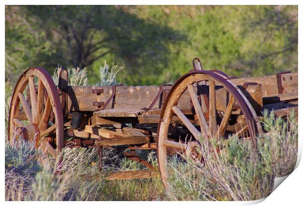 Old Wooden Wagon Print by Amy Rogers
