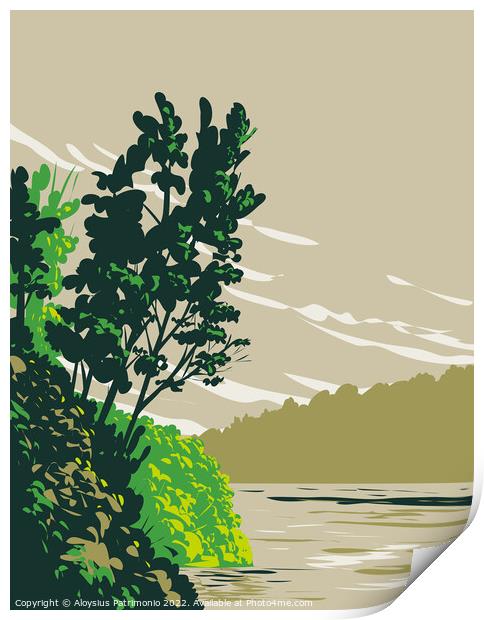 Lake Poinsett State Park on Western Bank of Lake Poinsett Crowley's Ridge Poinsett County Arkansas WPA Poster Art Print by Aloysius Patrimonio