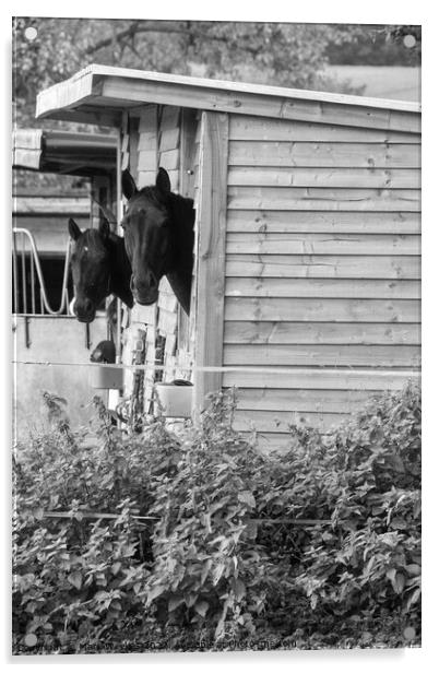 Horses in a stable Acrylic by Mark Weekes