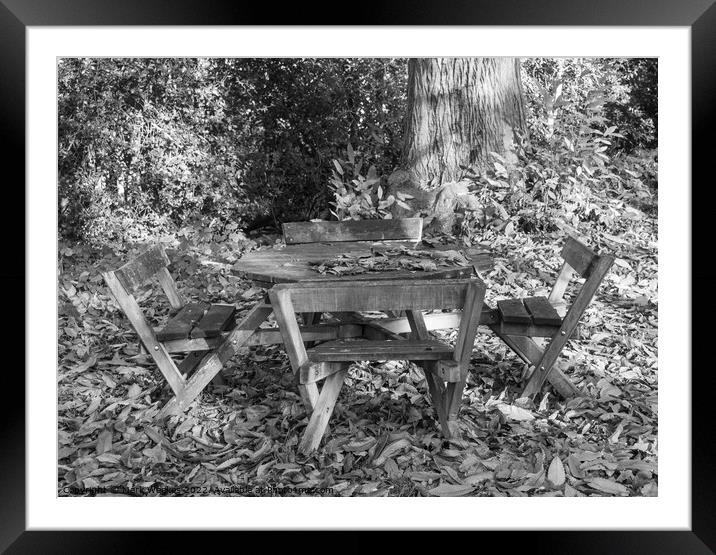 Picnic in the woods Framed Mounted Print by Mark Weekes