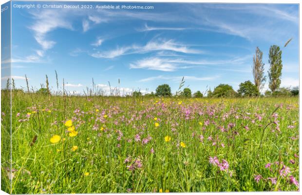 Natural meadow in the Alsace plain. Canvas Print by Christian Decout