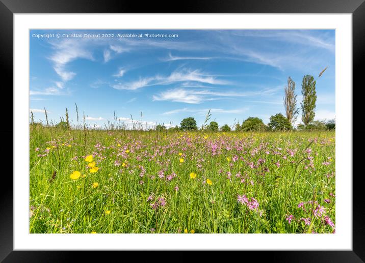 Natural meadow in the Alsace plain. Framed Mounted Print by Christian Decout