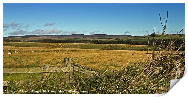 Simonside Ridge Print by David Pringle