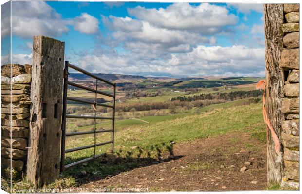 Gateway to Upper Teesdale Canvas Print by Richard Laidler