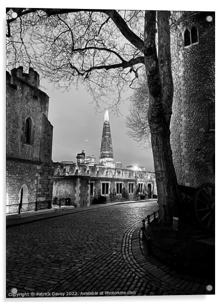 The shard monochrome  Acrylic by Patrick Davey