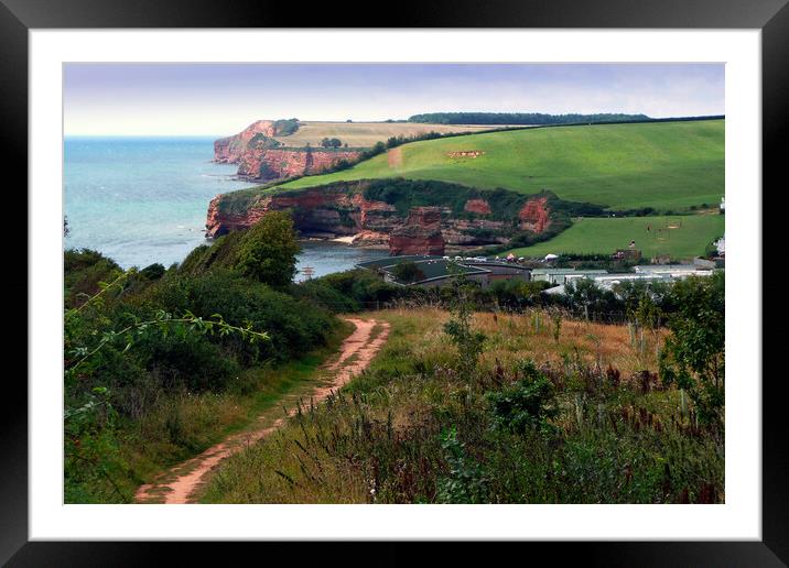 Ladram Bay Jurassic Coast Devon England Framed Mounted Print by Andy Evans Photos