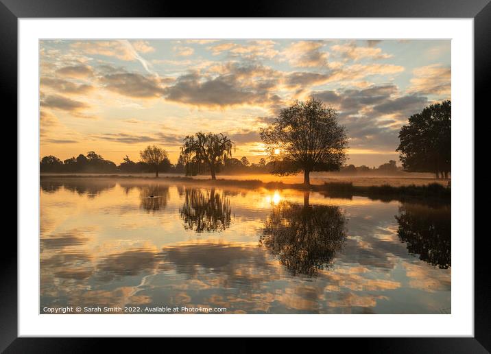 Golden Sunrise at the pond Framed Mounted Print by Sarah Smith