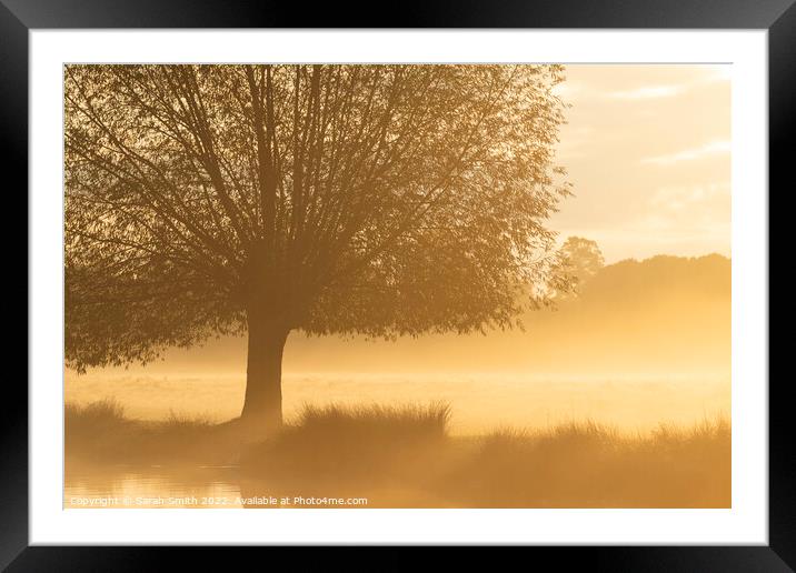 Misty Golden Sunrise Framed Mounted Print by Sarah Smith