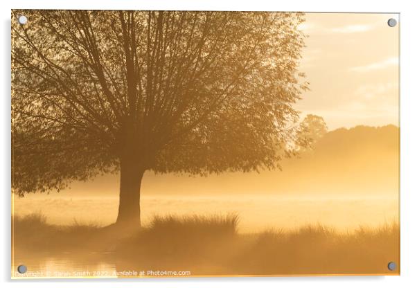 Misty Golden Sunrise Acrylic by Sarah Smith