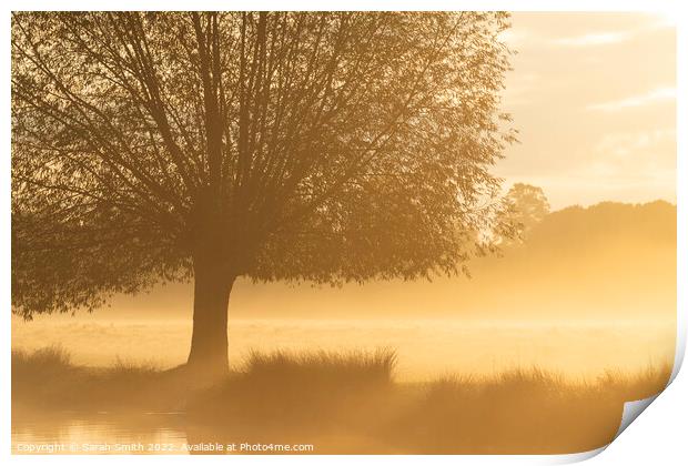 Misty Golden Sunrise Print by Sarah Smith