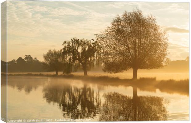 Mist by the Pond Canvas Print by Sarah Smith