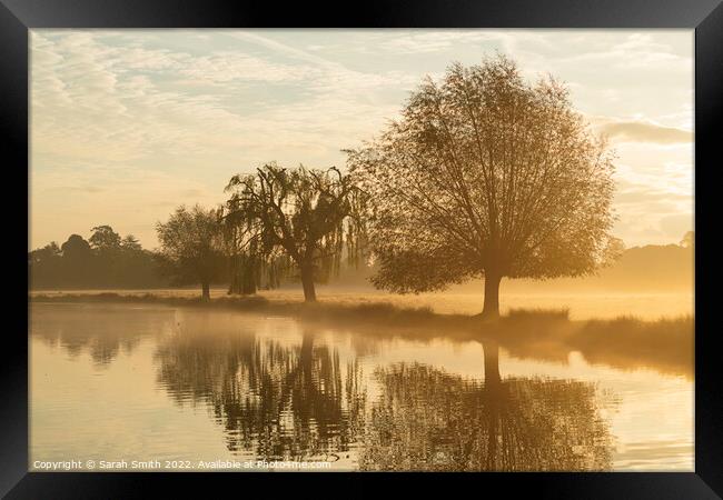 Mist by the Pond Framed Print by Sarah Smith
