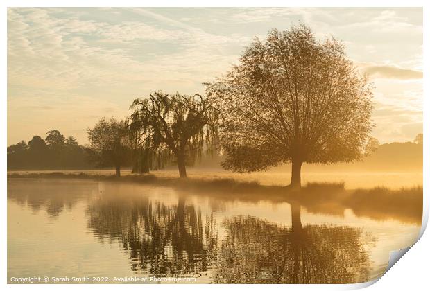Mist by the Pond Print by Sarah Smith