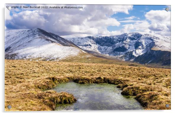 Carneddau Mountain Landscape Snowdonia Wales Acrylic by Pearl Bucknall