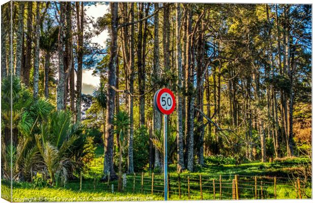 50 speed limit sign against a pine forest Canvas Print by Errol D'Souza