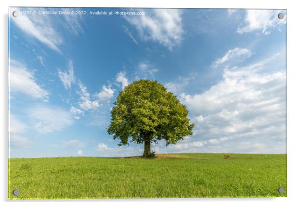 Lone tree on a hill in the French countryside Acrylic by Christian Decout