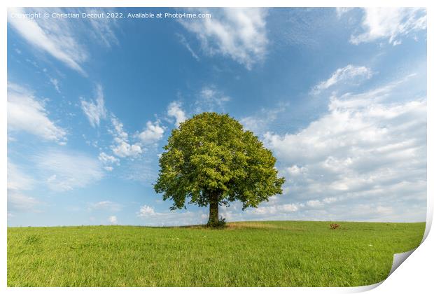 Lone tree on a hill in the French countryside Print by Christian Decout