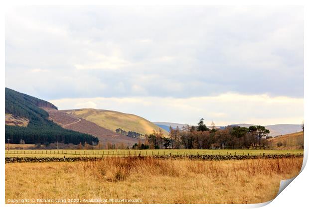 Springtime view in the Scottish borders Print by Richard Long