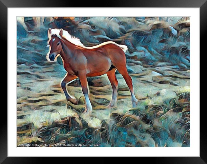 Mountain Trail Gallop Framed Mounted Print by Roger Mechan
