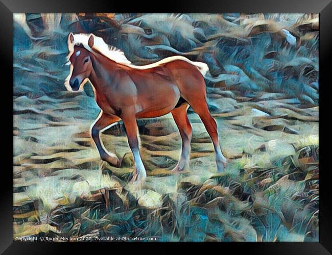 Mountain Trail Gallop Framed Print by Roger Mechan