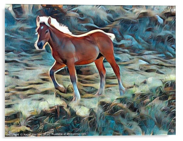 Mountain Trail Gallop Acrylic by Roger Mechan