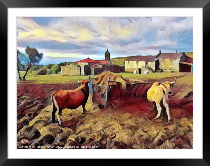 Rustic Charm of Basque Farm Life Framed Mounted Print by Roger Mechan