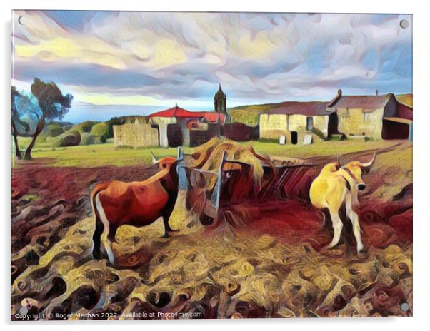 Rustic Charm of Basque Farm Life Acrylic by Roger Mechan