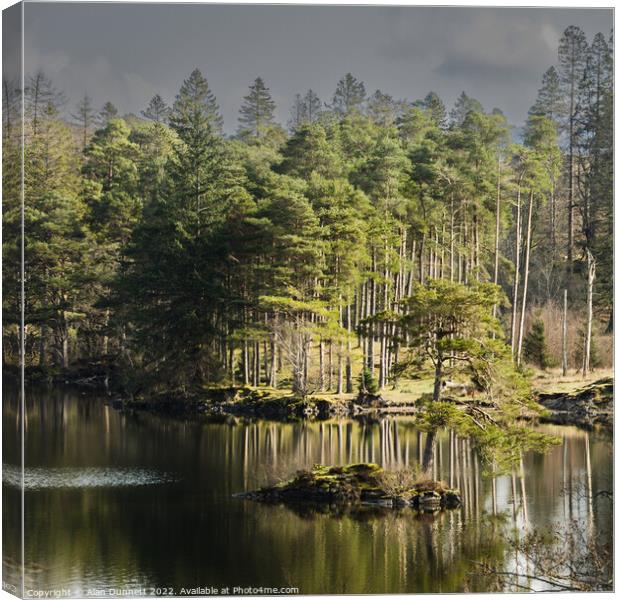 Reflect at Tarn Hows' Canvas Print by Alan Dunnett
