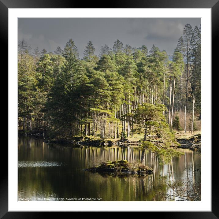 Reflect at Tarn Hows' Framed Mounted Print by Alan Dunnett