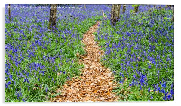 Path Through Bluebells Acrylic by Pearl Bucknall