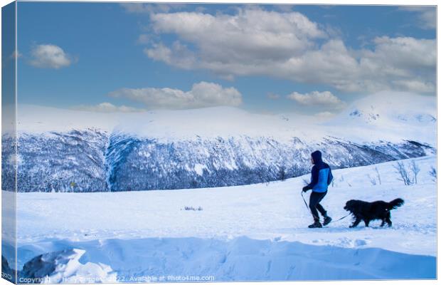Outdoor mountain walking the dog in Tromso Norway  Canvas Print by Holly Burgess