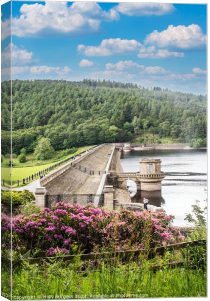 Lady-bowers Dam over the plug holes,  Canvas Print by Holly Burgess