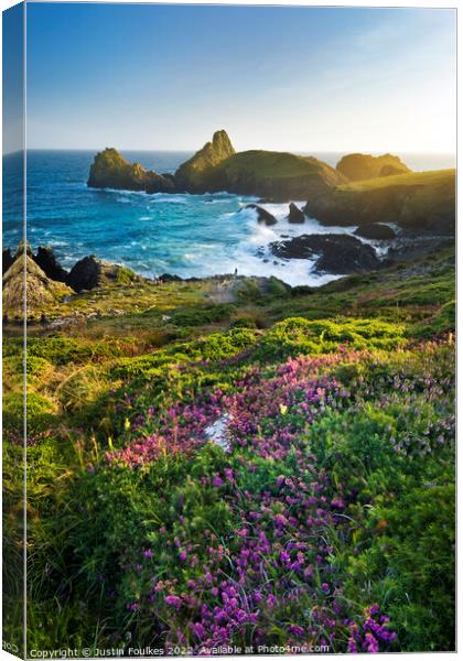 Heather at Kynance Cove, The Lizard, Cornwall Canvas Print by Justin Foulkes