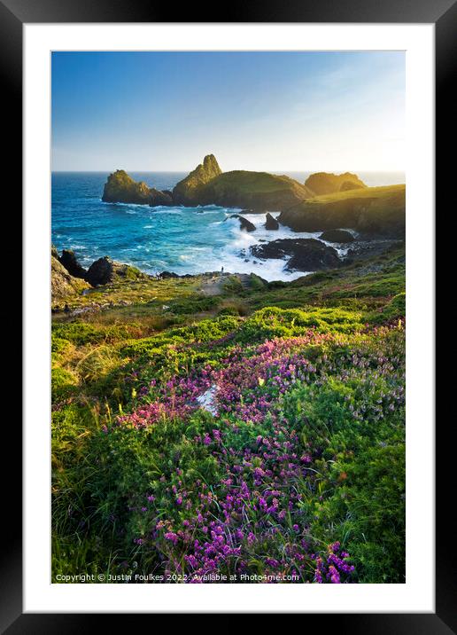 Heather at Kynance Cove, The Lizard, Cornwall Framed Mounted Print by Justin Foulkes
