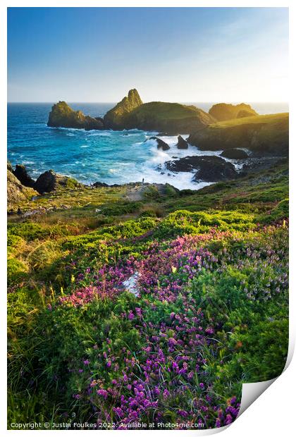 Heather at Kynance Cove, The Lizard, Cornwall Print by Justin Foulkes
