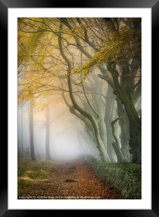 Peak District Woodland Framed Mounted Print by Andy Gray