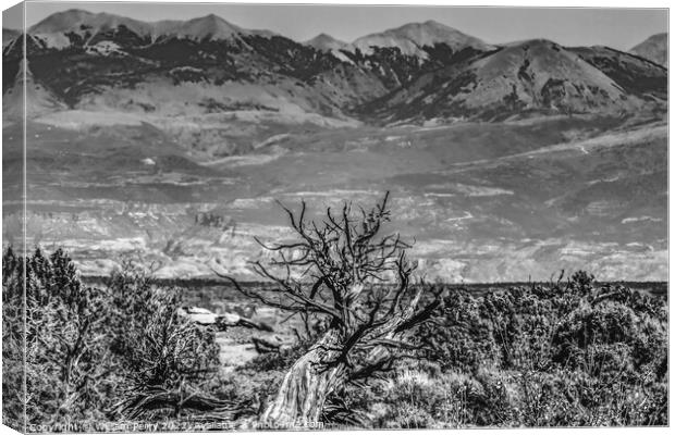Black White Abajo Blue Mountains Canyonlands National Park Moab  Canvas Print by William Perry