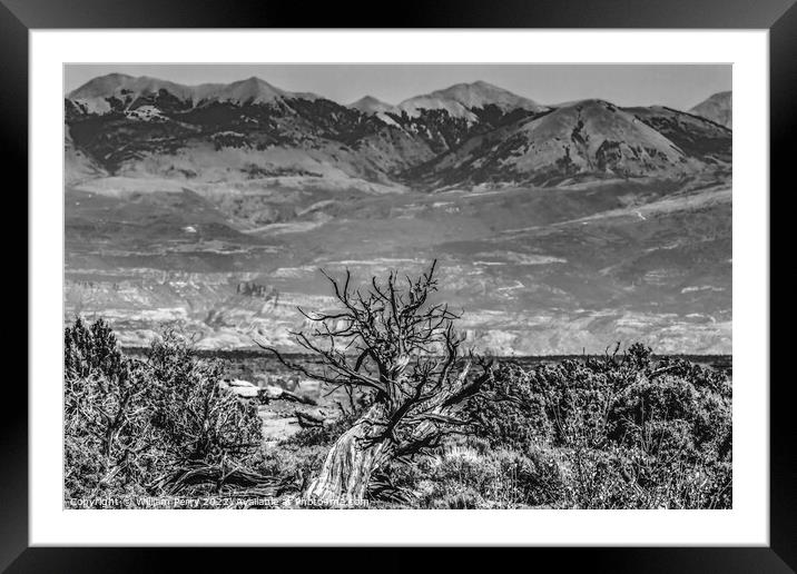 Black White Abajo Blue Mountains Canyonlands National Park Moab  Framed Mounted Print by William Perry