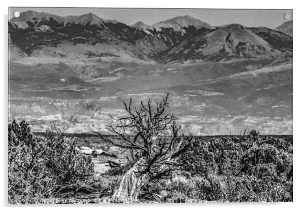 Black White Abajo Blue Mountains Canyonlands National Park Moab  Acrylic by William Perry