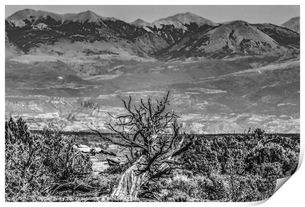 Black White Abajo Blue Mountains Canyonlands National Park Moab  Print by William Perry
