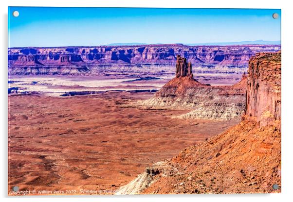 Candlestick Tower Overlook Canyonlands National Park Moab Utah  Acrylic by William Perry