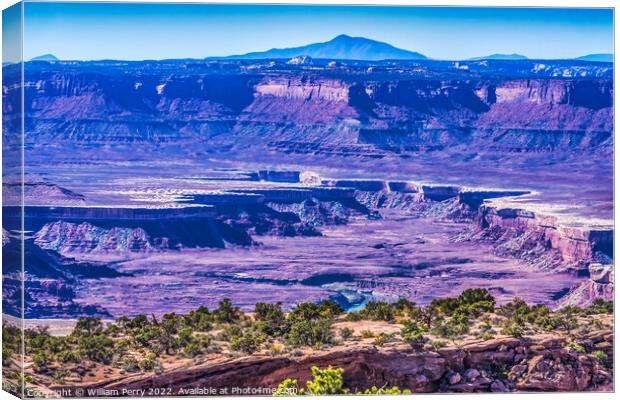 Green River Overlook Canyonlands National Park Moab Utah  Canvas Print by William Perry