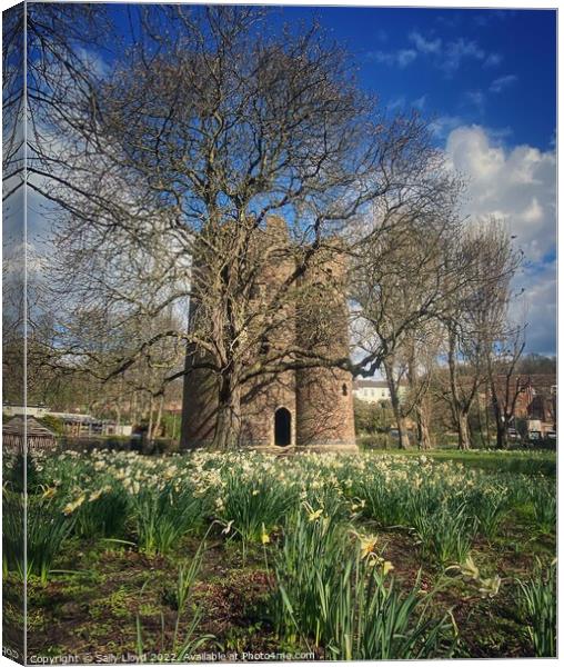 Cow Tower in Spring, Norwich Canvas Print by Sally Lloyd